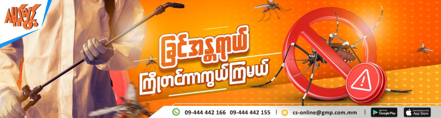ခြင်အန္တရာယ်ကို ဘယ်လိုကြိုတင်ကာကွယ်ကြမလဲ?