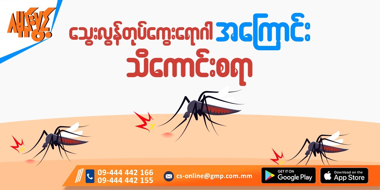 သွေးလွန်တုပ်ကွေးရောဂါ (Dengue Fever) အကြောင်းသိကောင်းစရာ