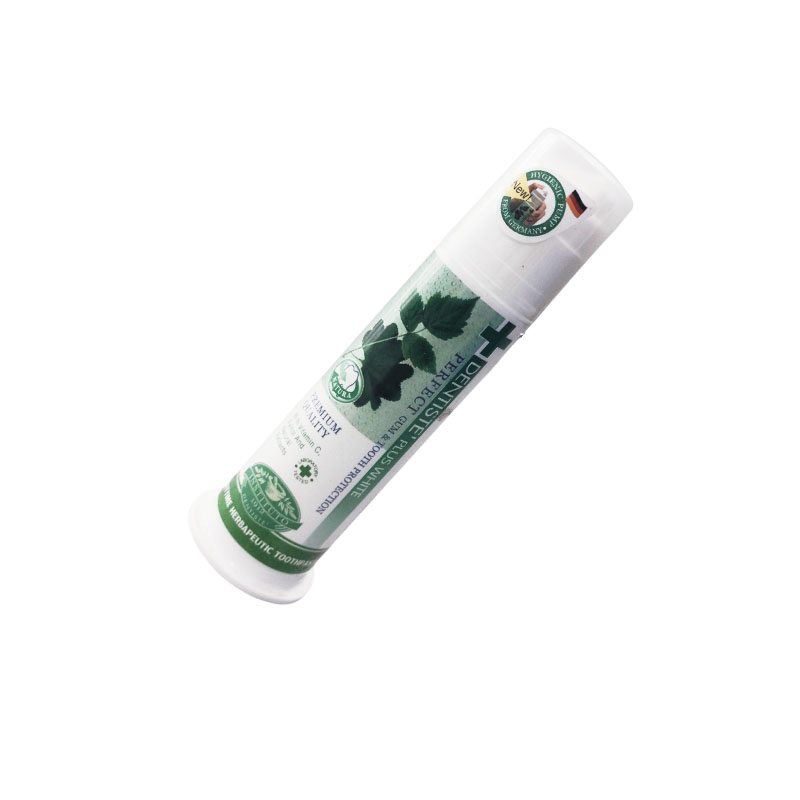 Dentiste Night Time Toothpaste 100g